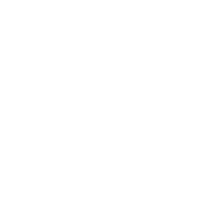 Bulls_Logo_klein.png